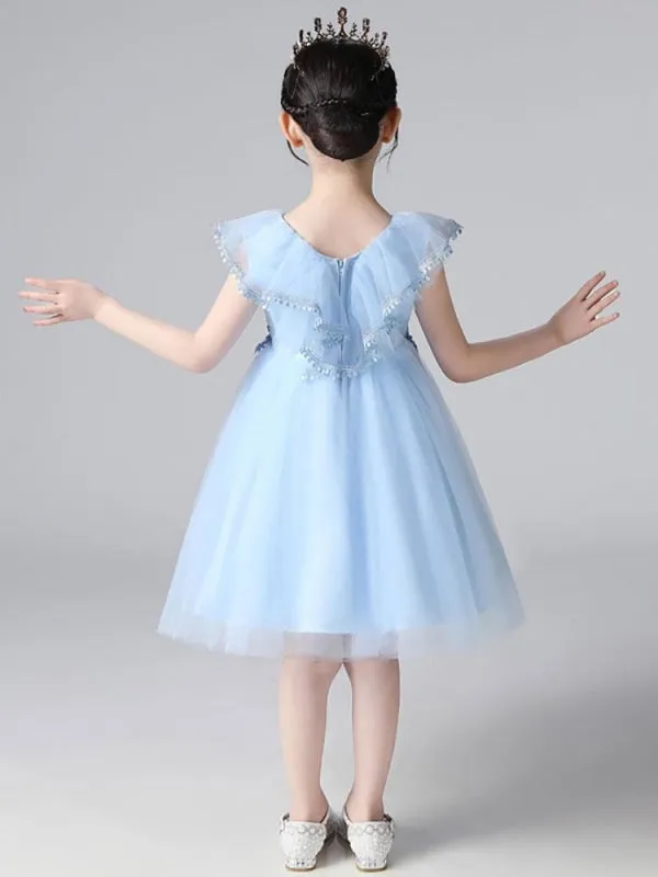 Sky Blue Flower Girl Dresses Tulle Sleeveless Knee-Length A-Line Embroidered Kids Party Dresses