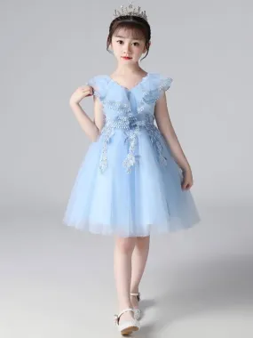 Sky Blue Flower Girl Dresses Tulle Sleeveless Knee-Length A-Line Embroidered Kids Party Dresses